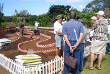 The Master Gardeners plant an organic garden